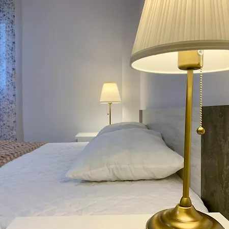 Loft No21 公寓 塞萨洛尼基